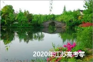 2020年江苏高考零分作文：我的话管用吗？_高考零分作文