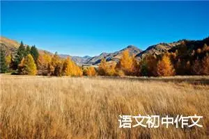 语文初中作文