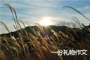 一份礼物作文