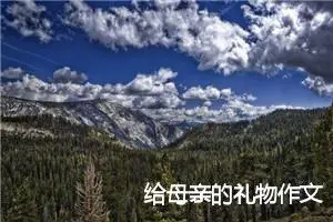 给母亲的礼物作文