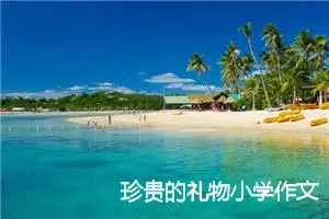 珍贵的礼物小学作文
