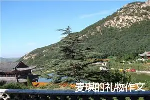 麦琪的礼物作文