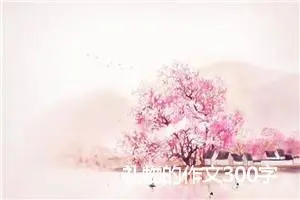 礼物的作文300字