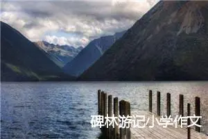 碑林游记小学作文