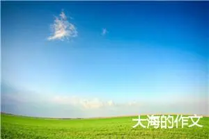 大海的作文