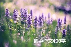 初中作文400字