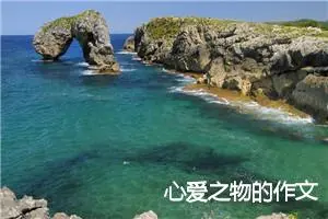 心爱之物的作文