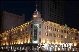 小学作文700字