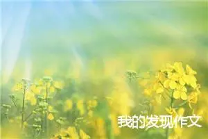 我的发现作文