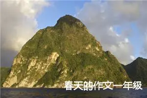 春天的作文一年级