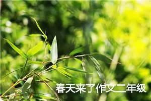 春天来了作文二年级