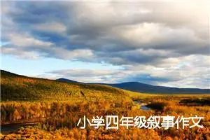 小学四年级叙事作文
