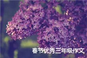 春节优秀三年级作文
