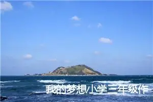 我的梦想小学三年级作文优秀