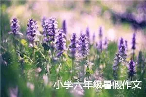 小学六年级暑假作文