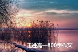 走进高一800字作文（精选5篇）