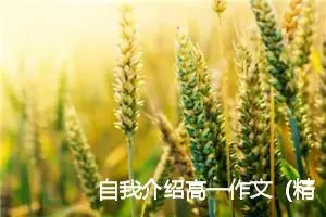 自我介绍高一作文（精选7篇）