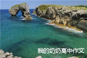我的奶奶高中作文