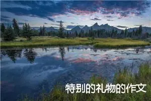 特别的礼物的作文