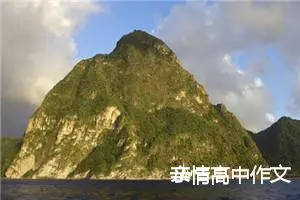 亲情高中作文