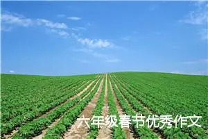 六年级春节优秀作文