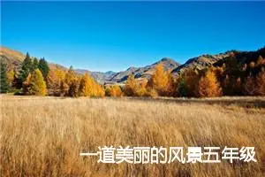 一道美丽的风景五年级作文14篇