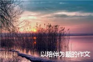 以陪伴为题的作文