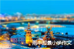 雨中即景小学作文