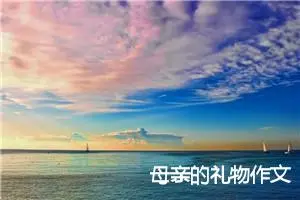 母亲的礼物作文