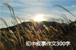 初中叙事作文300字