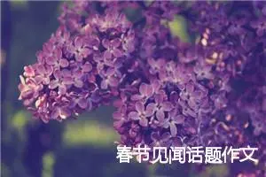 春节见闻话题作文