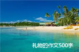 礼物的作文500字