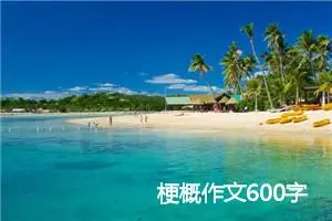 梗概作文600字