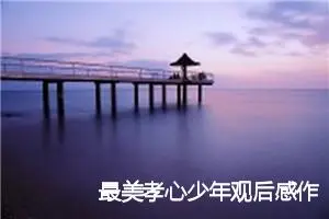 最美孝心少年观后感作文