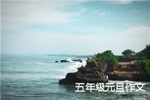 五年级元旦作文