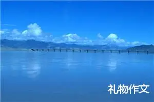 礼物作文