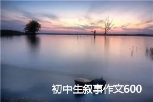 初中生叙事作文600字