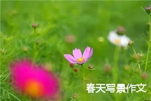 春天写景作文