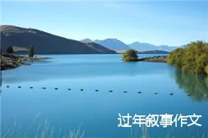 过年叙事作文
