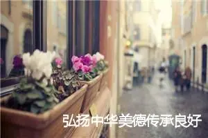 弘扬中华美德传承良好家风作文600字