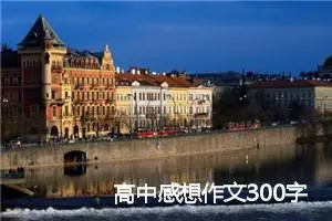 高中感想作文300字