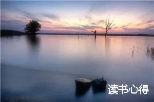 读书心得