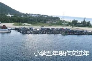 小学五年级作文过年