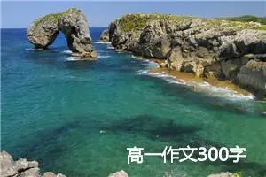 高一作文300字