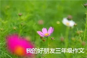 我的好朋友三年级作文300字