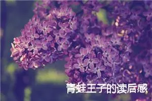 青蛙王子的读后感