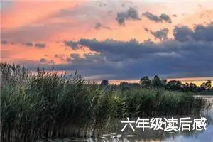 六年级读后感