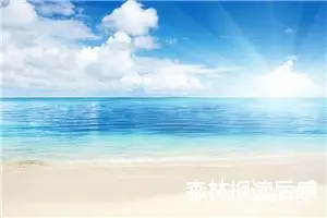 森林报读后感