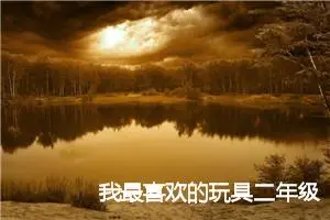 我最喜欢的玩具二年级作文