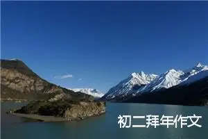 初二拜年作文